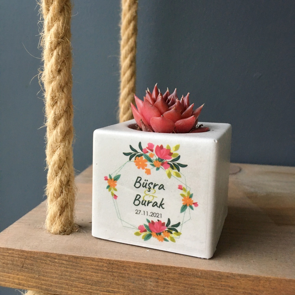 Sukulentli Küp Beton Saksı