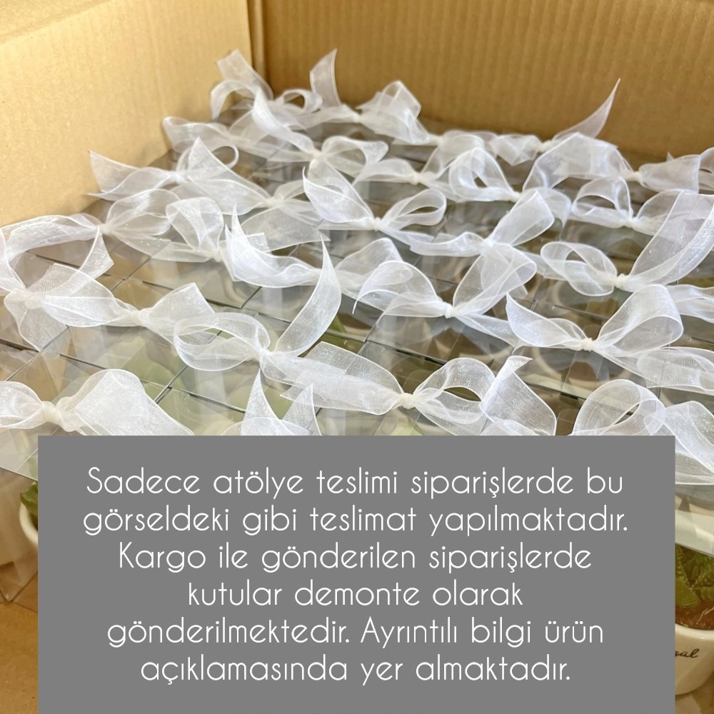 Mini Beton Saksıda Kutulu Sukulent 