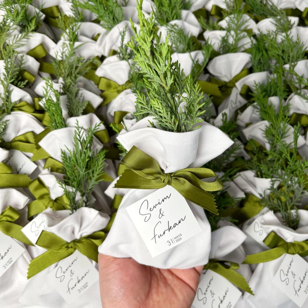 Hediyelik Nikah Fidanı, Yeşil Kurdeleli