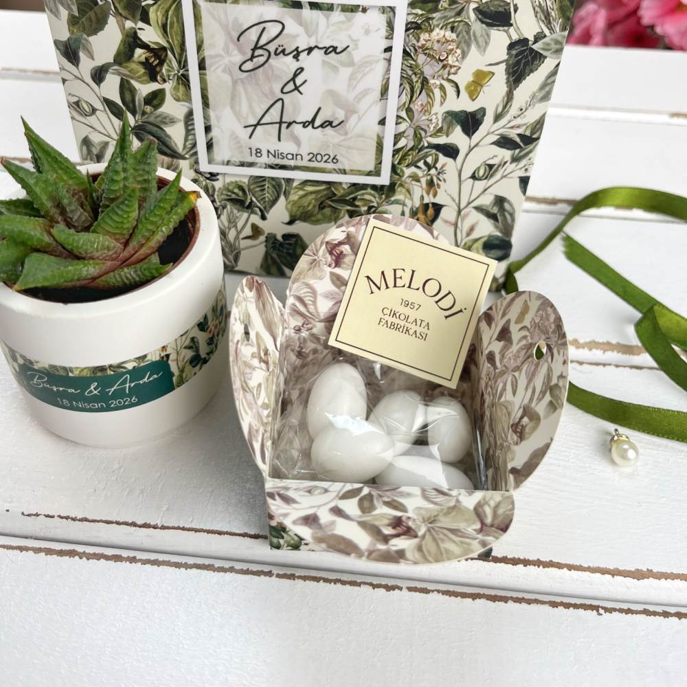 Sukulent, Badem Şekeri Nişan Hediyelik Set | Yeşil Konsept