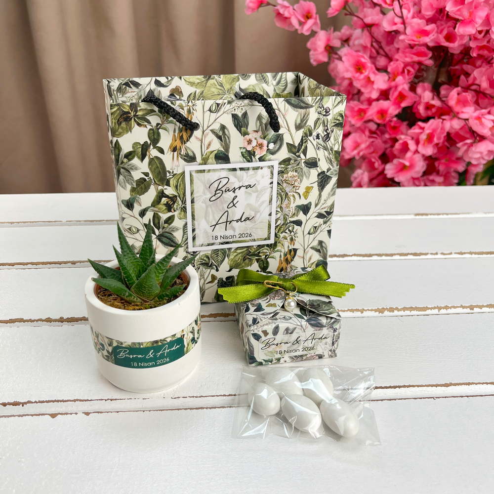 Sukulent, Badem Şekeri Nişan Hediyelik Set | Yeşil Konsept
