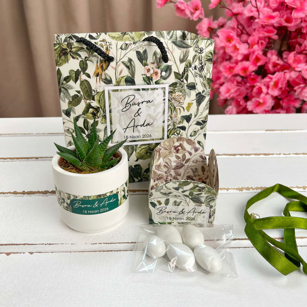 Sukulent, Badem Şekeri Nişan Hediyelik Set | Yeşil Konsept