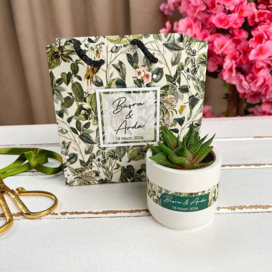 Nişan ve nikah için hediyelik çantalı sukulent