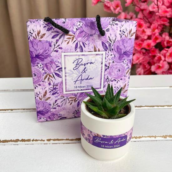 Haworthia Sukulent Nişan Hediyesi | Beton Saksıda